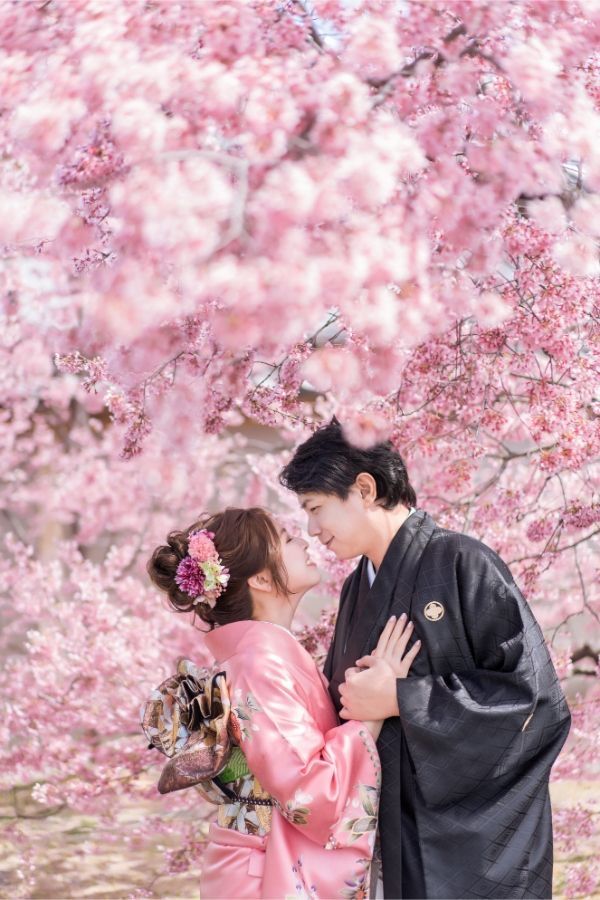 wedding photo from Kyoto, japan, couple surrounded by cherry blossom trees